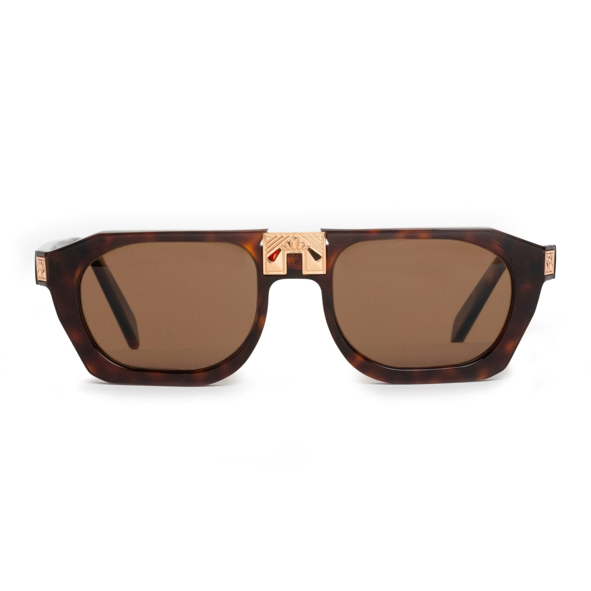 ARIA NOIR Ahava sunglasses in Dark Tortoise, front view