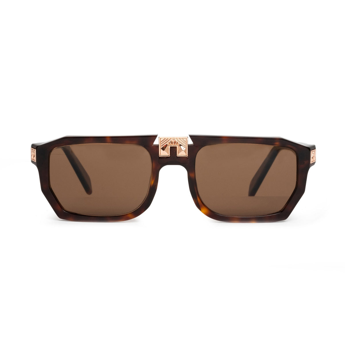 ARIA NOIR ARCA II sunglasses in Dark Tortoise, front view